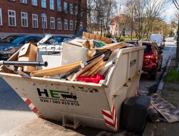 Hauptstadt Entsorger Titelbild