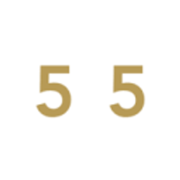 Immobilien55 | Immobilienmakler Köln Logo