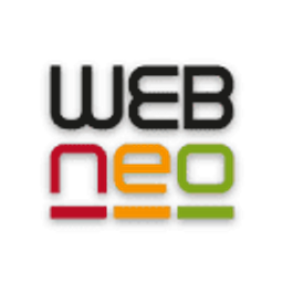 WEBneo GmbH - Full-Service Agentur für Marketing, Design & Entwicklung mit KI-Expertise Logo