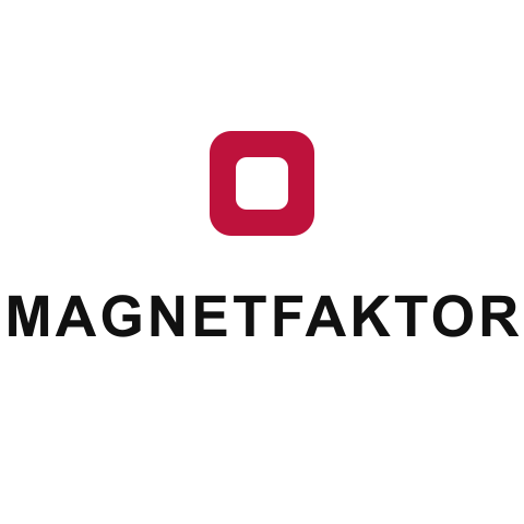 Magnetfaktor Logo